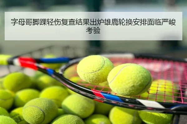 字母哥脚踝轻伤复查结果出炉雄鹿轮换安排面临严峻考验